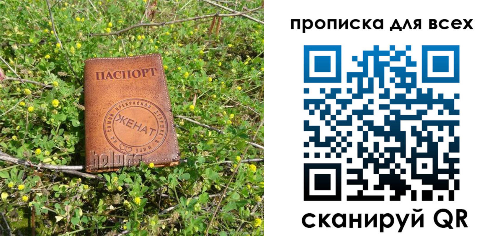прописка поиск в Советской Гавани